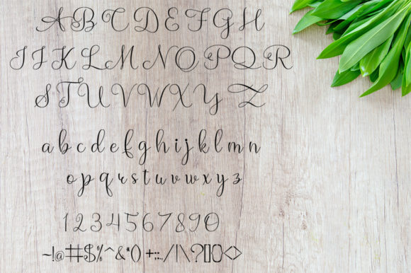 Amsterdam Font - Preview 4