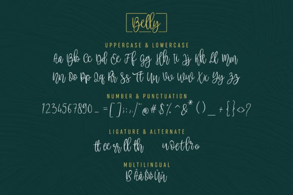 Belly Font - Preview 4