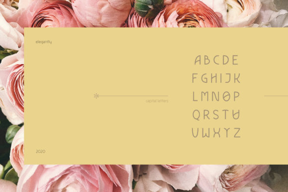 Elegantly Font - Preview 3