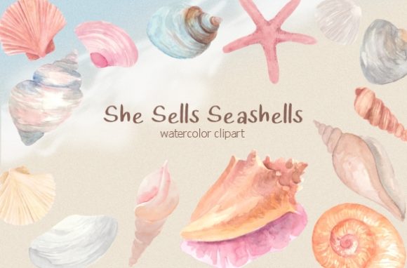 Pastel Seashells Watercolor Clipart Set Afbeelding Afdrukbare Illustraties Door roselocket