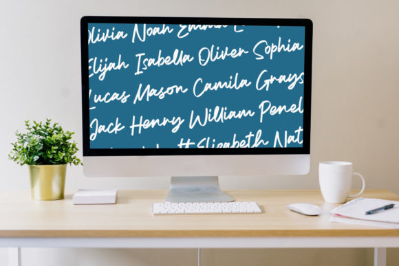 Balder Script Font - Preview 3