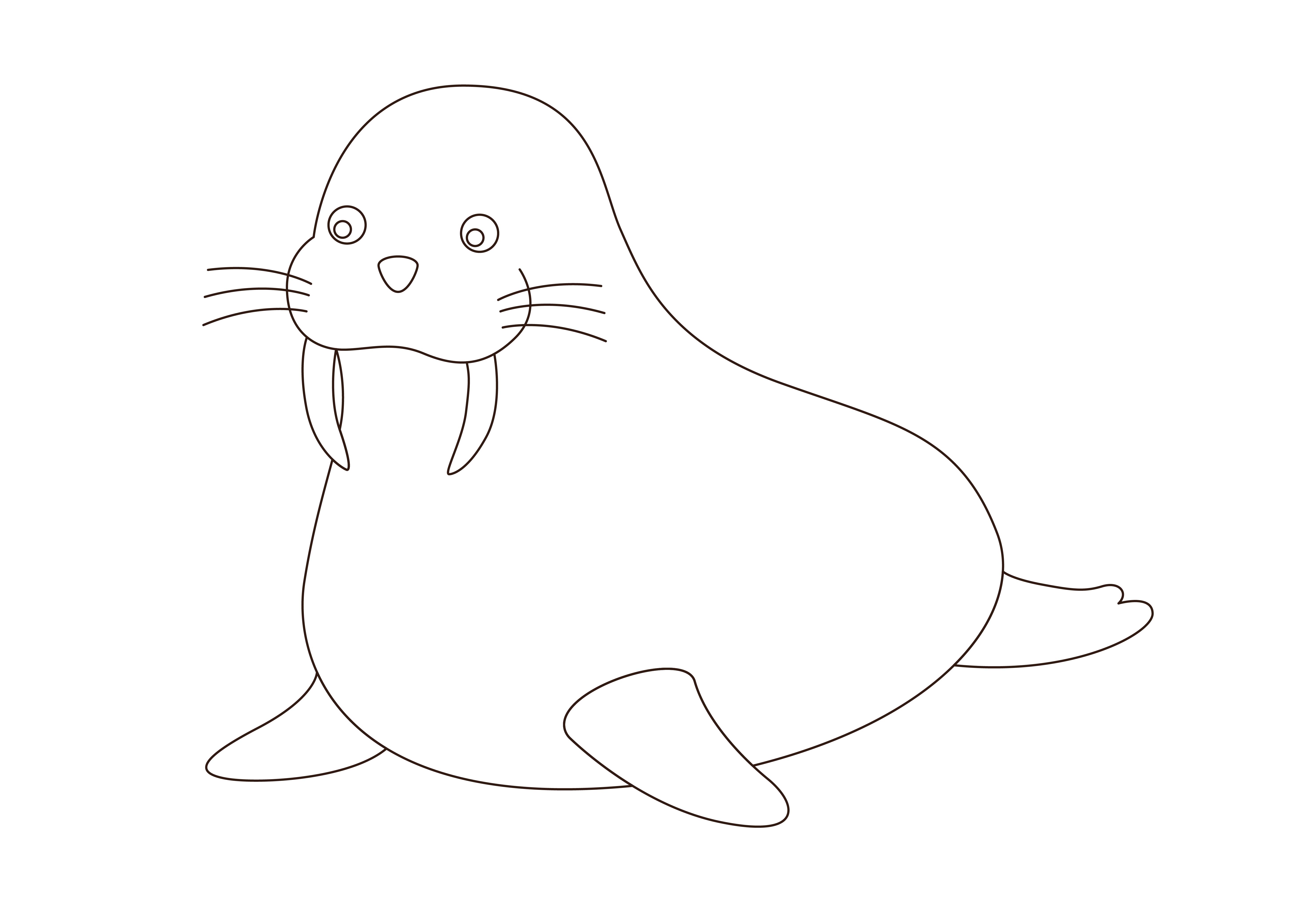Children Coloring Walrus Graphic by studioisamu · Creative Fabrica
