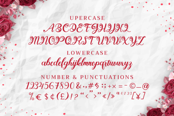 Berllina Font - Preview 2