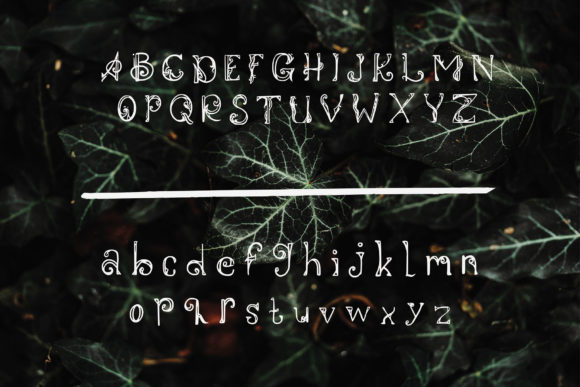 Dynastyan Font - Preview 1