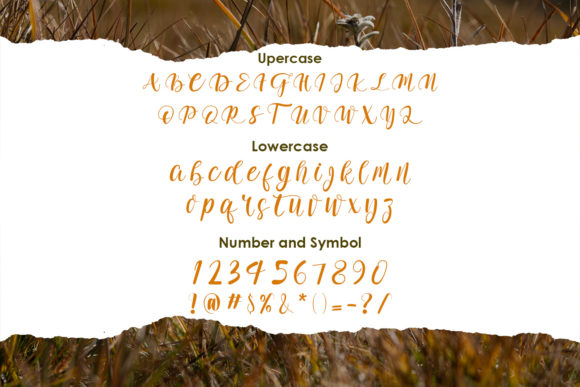 Adelwish Font - Preview 1