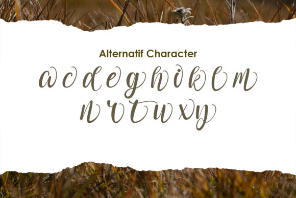 Adelwish Font - Preview 3