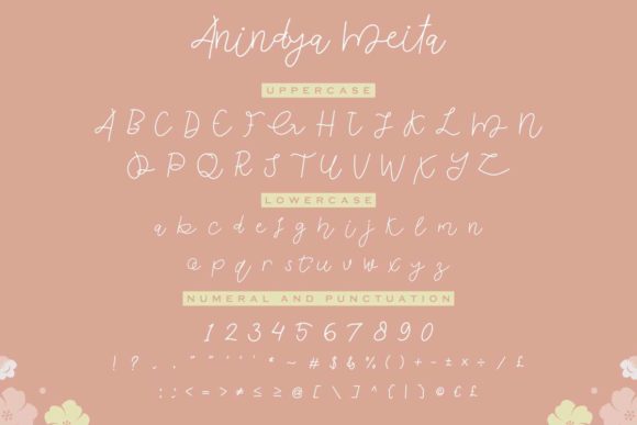 Anindya Meita Font - Preview 4