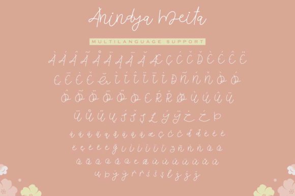 Anindya Meita Font - Preview 6