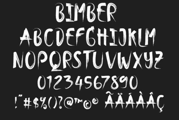 Bimber Brush Font - Preview 4