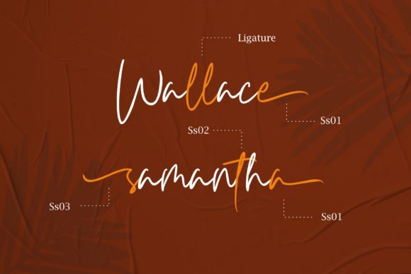 Carnollia Font - Preview 1