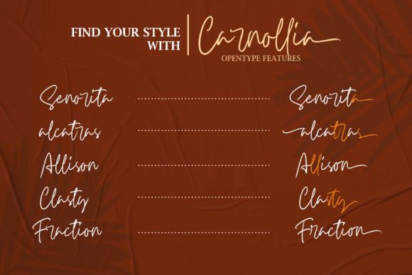 Carnollia Font - Preview 2