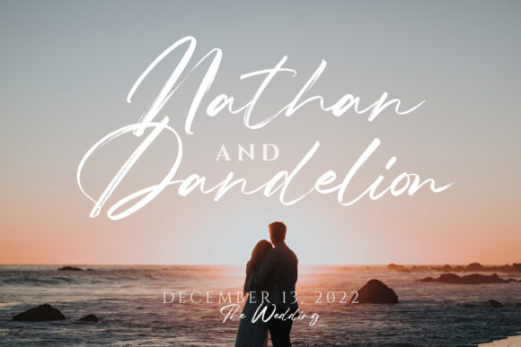 Compania Font - Preview 6