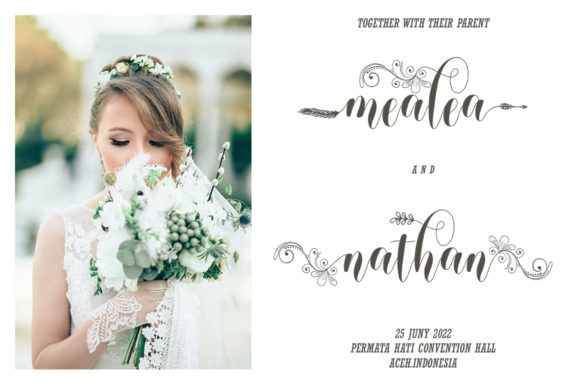 Holiedarling Font PNG with transparent background - Preview 3