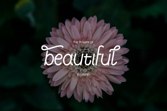 Maibak Font PNG with transparent background - Preview 3