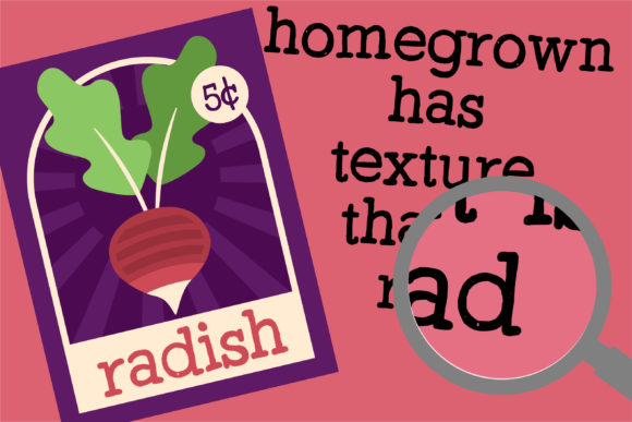 PN Homegrown Font PNG with transparent background - Preview 3