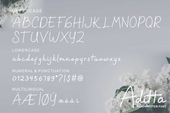 Aditta Font - Preview 6