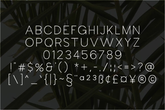 Banklie Font - Preview 1