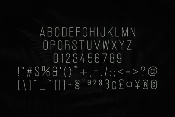 Bartletto Font - Preview 1