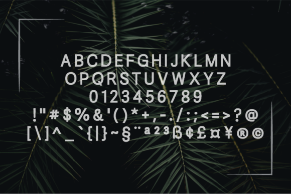 Beirley Font - Preview 1
