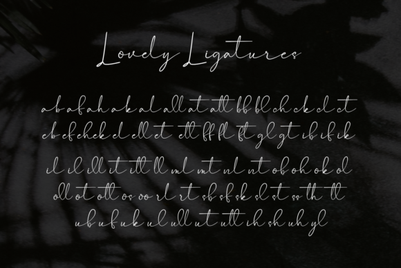Castyla Font - Preview 5
