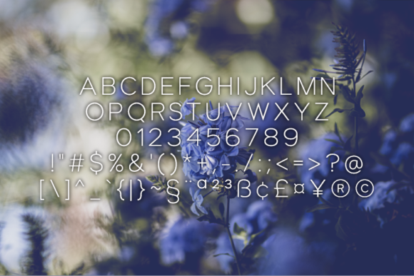 Clements Font - Preview 1