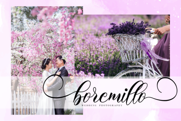Darelina Font - Preview 1