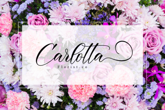 Darelina Font - Preview 2