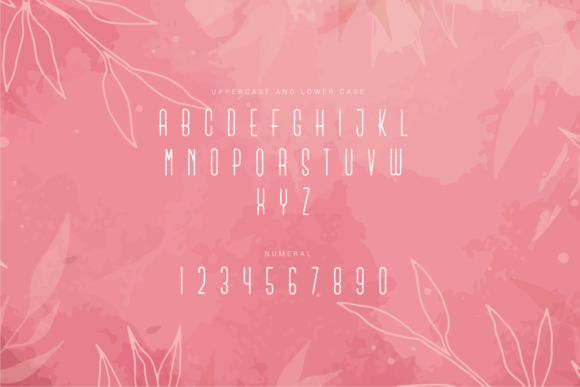 Kumachi Font PNG with transparent background - Preview 2