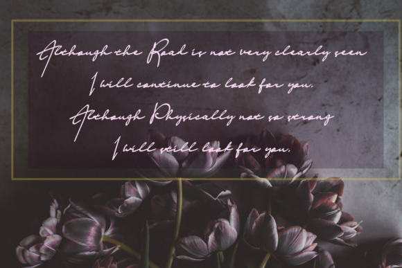 Prewedding Font PNG with transparent background - Preview 2