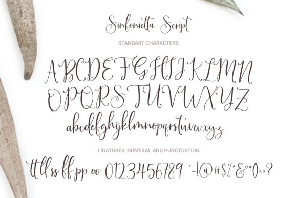 Sinfonietta Font PNG with transparent background - Preview 1
