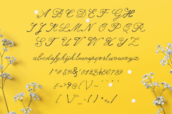 Abepka Font - Preview 1