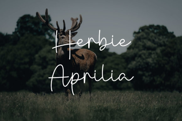 Danielle Signature Font - Preview 1