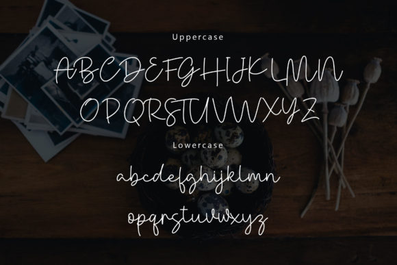 Danielle Signature Font - Preview 3
