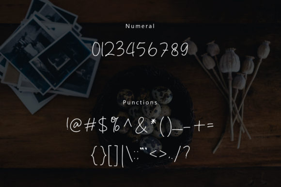 Danielle Signature Font - Preview 4