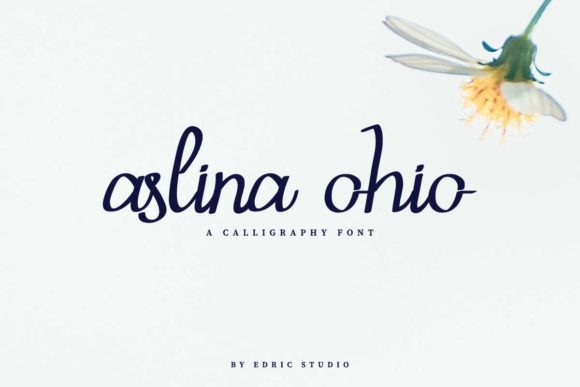 Aslina Ohio Font - Preview 1