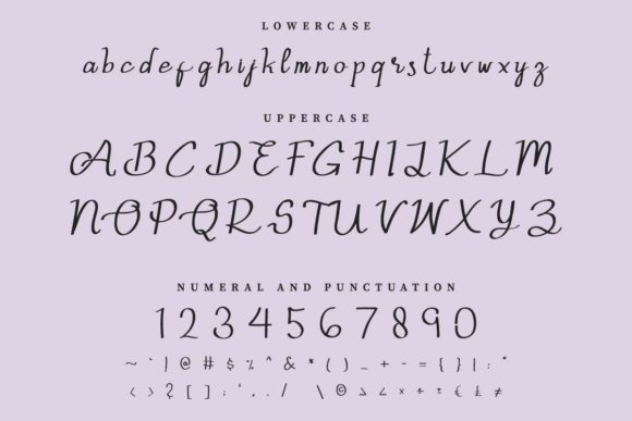 Aslina Ohio Font - Preview 5