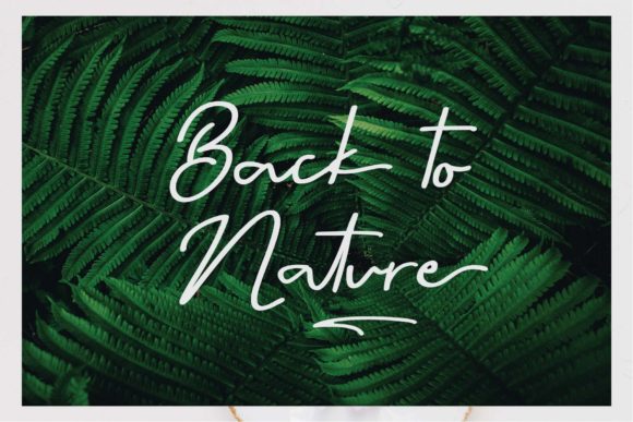 Barden Belley Font - Preview 5