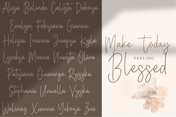 Baster Monky Font - Preview 3