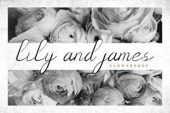 Daysave Font - Preview 4