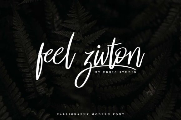 Feel Zivton Font - Preview 1