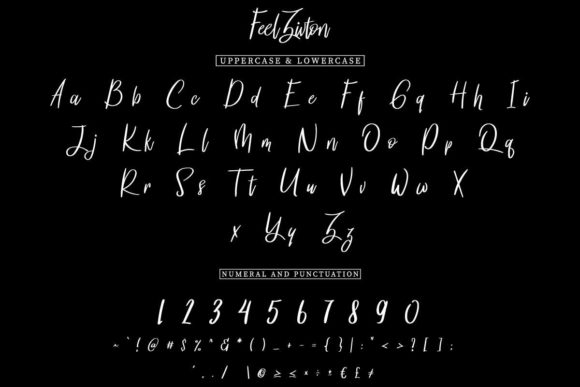 Feel Zivton Font - Preview 4