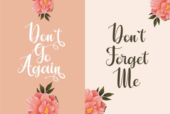 Agitha Font - Preview 3