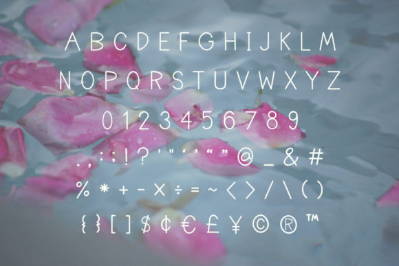 Amelia Font - Preview 6