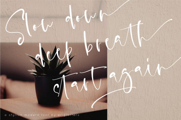 Evanston Font - Preview 5