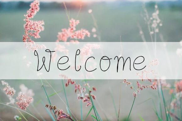 Flayolla Font - Preview 1