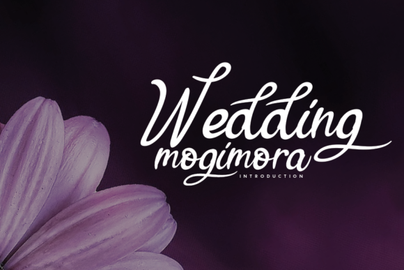 Gadigoke Haola Font - Preview 1
