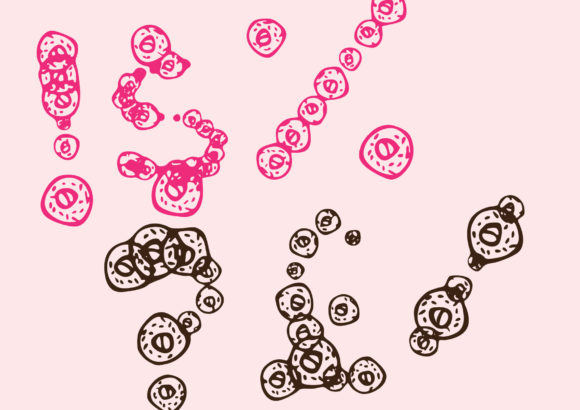 Doughnuts Font - Preview 2