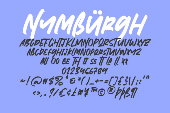 Nymburgh Brush Font PNG with transparent background - Preview 3