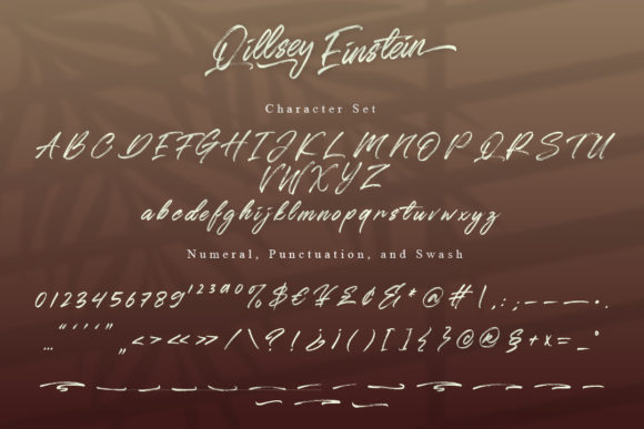 Qillsey Einstein Font PNG with transparent background - Preview 2