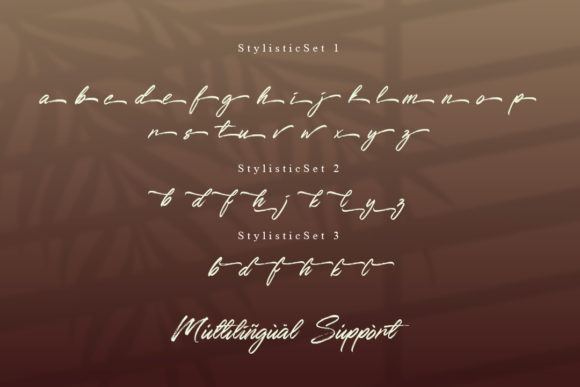 Qillsey Einstein Font PNG with transparent background - Preview 3